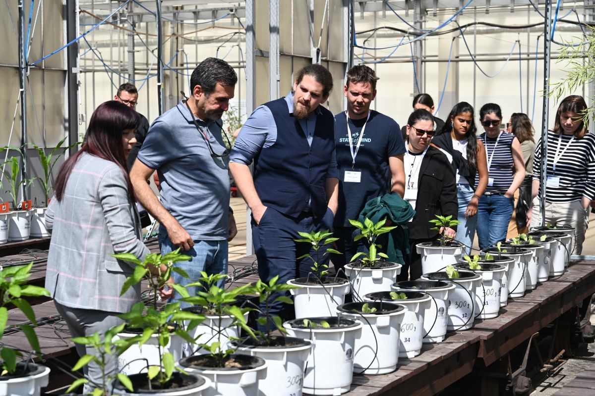 Biotreated meeting